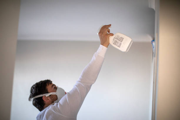Best Mold Removal Near Me  in Kaloko, HI