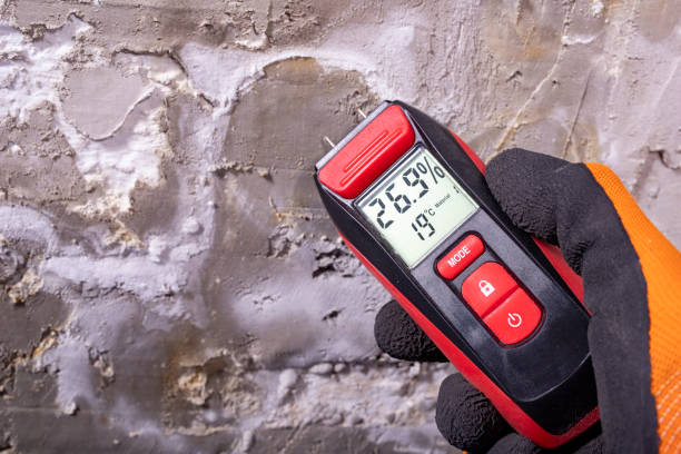 Best Office Mold Removal Services  in Kaloko, HI